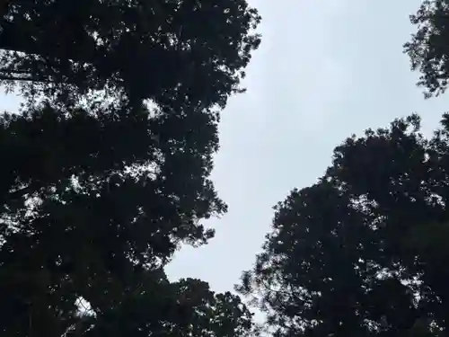 大宮温泉神社(栃木県)