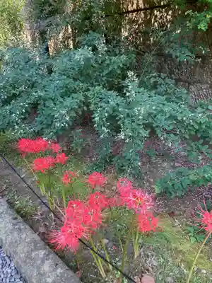 横浜　西方寺(神奈川県)