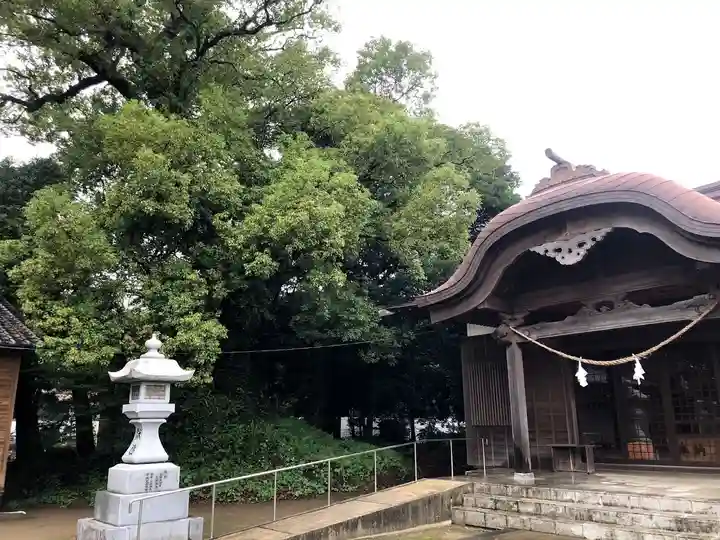 八幡神社の本殿・本堂