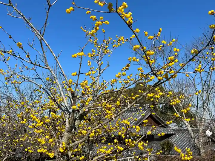 粟井神社の自然