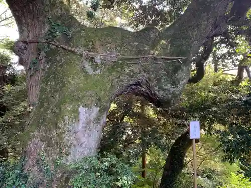 椎尾山薬王院(茨城県)