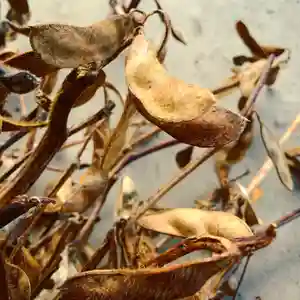 滑川神社 - 仕事と子どもの守り神のその他建物(2021年02月02日(火) 12時37分45秒投稿)