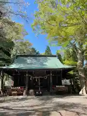 横山八幡宮の本殿