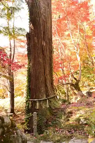 百済寺(滋賀県)