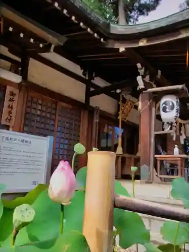 下高井戸八幡神社(東京都)