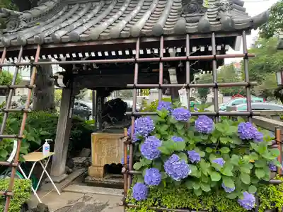 白山神社の手水舎