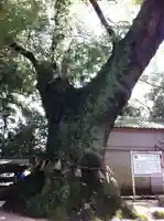 神明社(三重県)