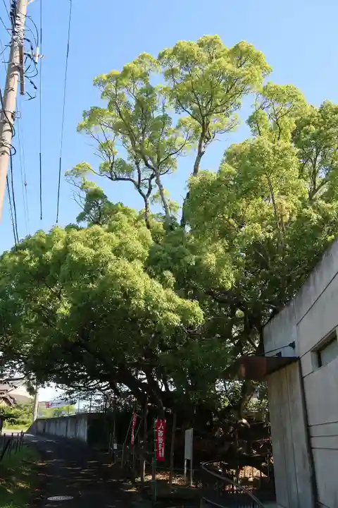 大智院(清水寺大智院)の自然