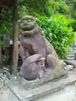 御霊神社の狛犬
