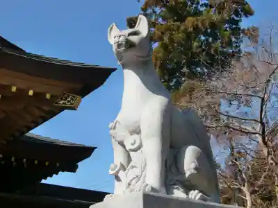 多田朝日森稲荷神社の狛犬