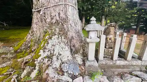 依居神社(福井県)