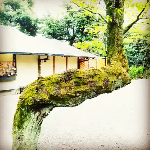 愛宕神社のその他建物