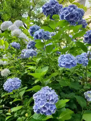 本郷氷川神社(東京都)