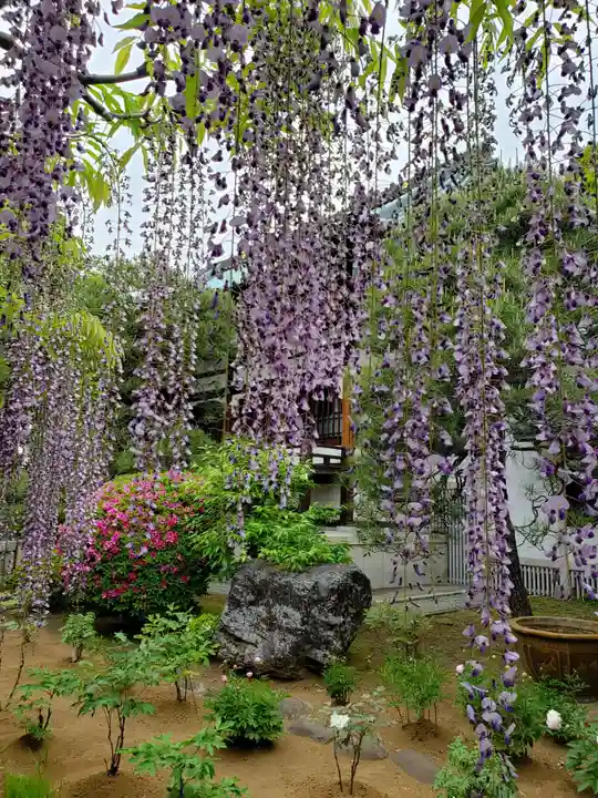 愛染院(東京都)