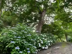 普門寺(切り絵御朱印発祥の寺)の庭園