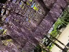 日吉神社(東京都)