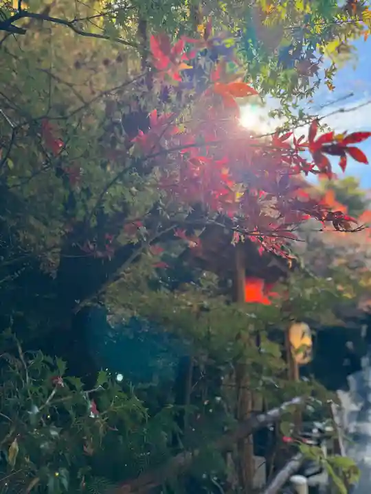 貴船神社奥宮(京都府)