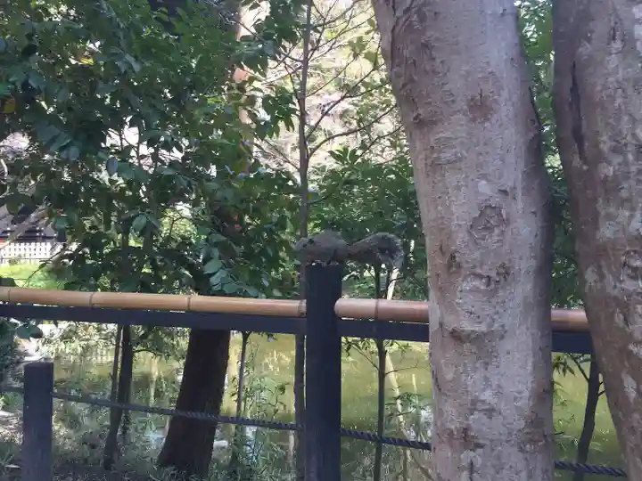 鶴岡八幡宮(神奈川県)