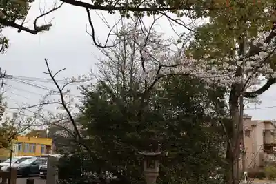 諫早神社（九州総守護  四面宮）(長崎県)