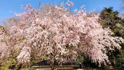 浮島辨財天(群馬県)