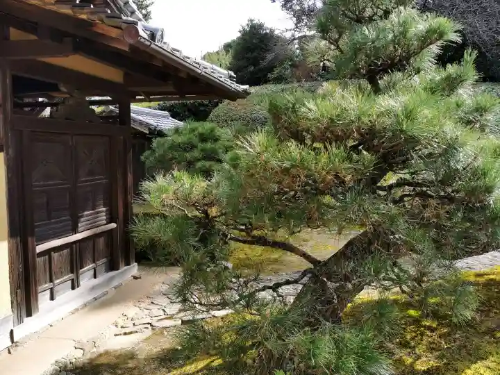 慈光院の{uncategorized: "未分類", other: "その他", undefined: "問題あり", building: "その他建物", grave: "お墓", sacred_gate: "鳥居", guardian: "狛犬", statue: "像", buddha: "仏像", history: "歴史", nature: "自然", garden: "庭園", animal: "動物", pagoda: "塔", temizu: "手水舎", mountain_gate: "山門・神門", sanctuary: "本殿・本堂", subordinate: "末社・摂社", art: "芸術", scenery: "景色", jizo: "地蔵", ema: "絵馬", goshuin: "御朱印", omikuji: "おみくじ", items: "授与品その他", amulet: "お守り", goshuincho: "御朱印帳", eats: "食事", festival: "お祭り", votive_dance: "神楽", shichigosan: "七五三参", wedding: "結婚式", experience: "体験その他", initially: "初詣", around: "周辺", anti_infection: "感染症対策"}