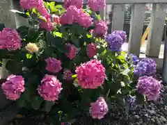 高靇神社の庭園