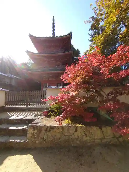 井山 宝福寺のその他建物