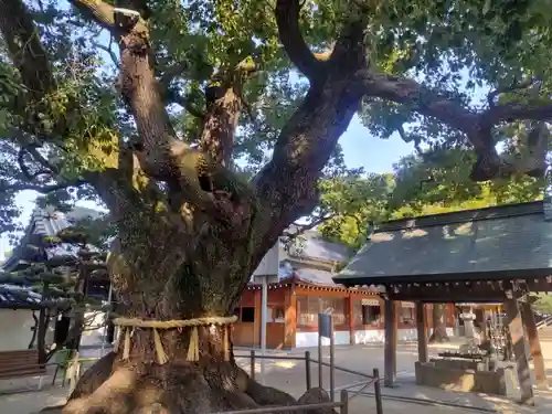 大聖観音寺（あびこ観音）(大阪府)