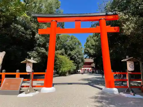 賀茂御祖神社（下鴨神社）の鳥居