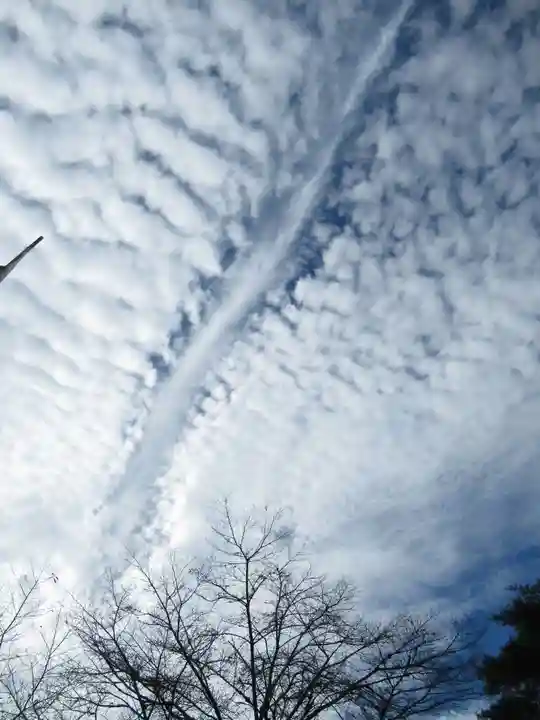 櫻木神社(千葉県)