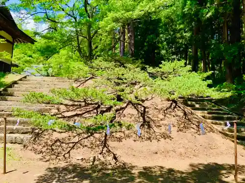 土津神社｜こどもと出世の神さまの自然