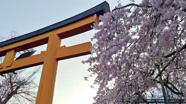 平野神社の自然
