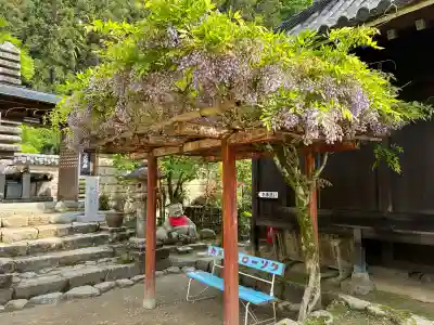 法起院の{uncategorized: "未分類", other: "その他", undefined: "問題あり", building: "その他建物", grave: "お墓", sacred_gate: "鳥居", guardian: "狛犬", statue: "像", buddha: "仏像", history: "歴史", nature: "自然", garden: "庭園", animal: "動物", pagoda: "塔", temizu: "手水舎", mountain_gate: "山門・神門", sanctuary: "本殿・本堂", subordinate: "末社・摂社", art: "芸術", scenery: "景色", jizo: "地蔵", ema: "絵馬", goshuin: "御朱印", omikuji: "おみくじ", items: "授与品その他", amulet: "お守り", goshuincho: "御朱印帳", eats: "食事", festival: "お祭り", votive_dance: "神楽", shichigosan: "七五三参", wedding: "結婚式", experience: "体験その他", initially: "初詣", around: "周辺", anti_infection: "感染症対策"}