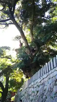 楽法寺（雨引観音）のその他建物