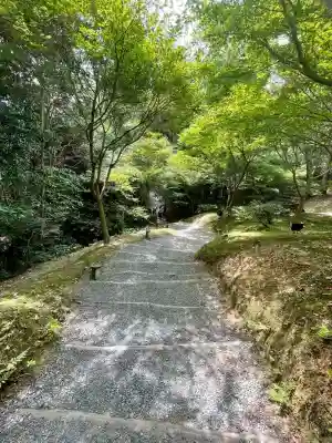 高台寺（高台寿聖禅寺・高臺寺）(京都府)
