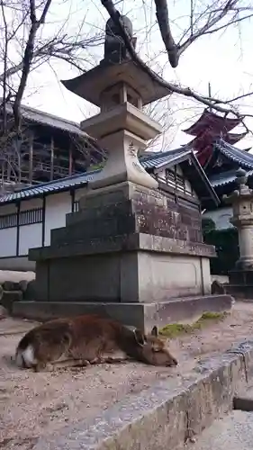 厳島神社の動物