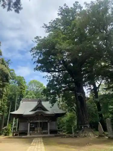 松山神社(千葉県)