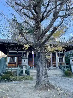 浄蓮寺(神奈川県)