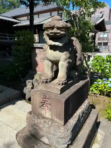 白山神社の狛犬