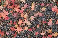 豊景神社の自然