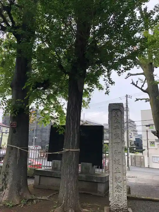 滝野川八幡神社(東京都)
