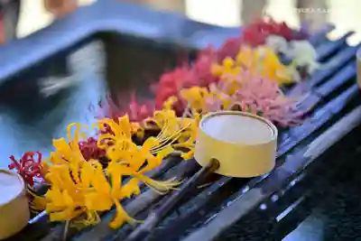 横浜 西方寺の手水舎