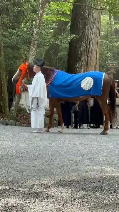 伊勢神宮内宮(皇大神宮)の{uncategorized: "未分類", other: "その他", undefined: "問題あり", building: "その他建物", grave: "お墓", sacred_gate: "鳥居", guardian: "狛犬", statue: "像", buddha: "仏像", history: "歴史", nature: "自然", garden: "庭園", animal: "動物", pagoda: "塔", temizu: "手水舎", mountain_gate: "山門・神門", sanctuary: "本殿・本堂", subordinate: "末社・摂社", art: "芸術", scenery: "景色", jizo: "地蔵", ema: "絵馬", goshuin: "御朱印", omikuji: "おみくじ", items: "授与品その他", amulet: "お守り", goshuincho: "御朱印帳", eats: "食事", festival: "お祭り", votive_dance: "神楽", shichigosan: "七五三参", wedding: "結婚式", experience: "体験その他", initially: "初詣", around: "周辺", anti_infection: "感染症対策"}