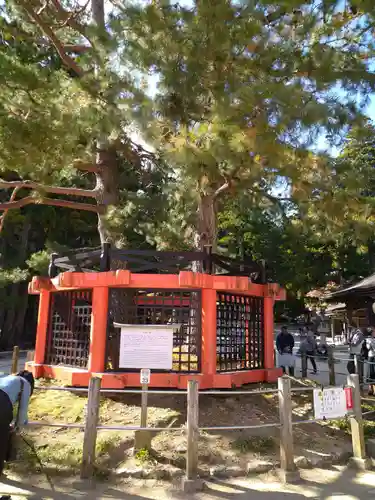 壇上伽藍(和歌山県)