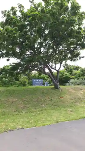 望来神社のその他建物