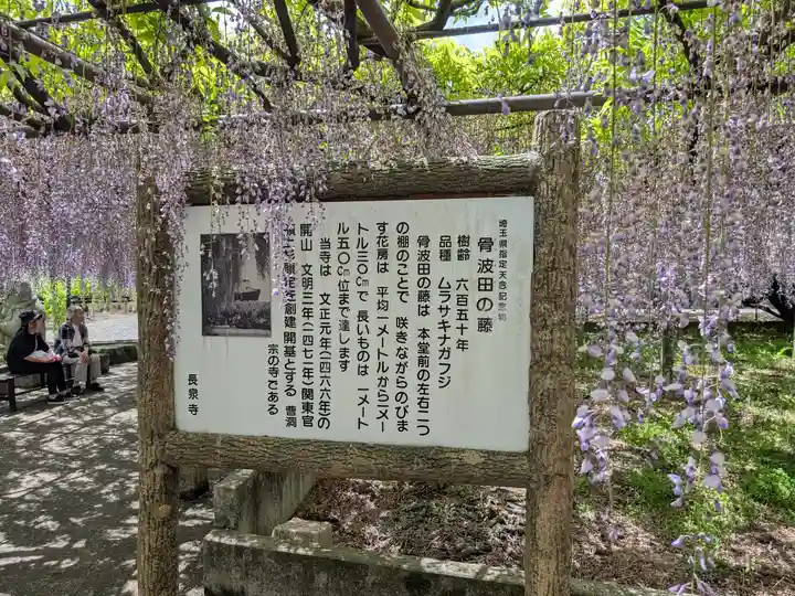 長泉寺(埼玉県)