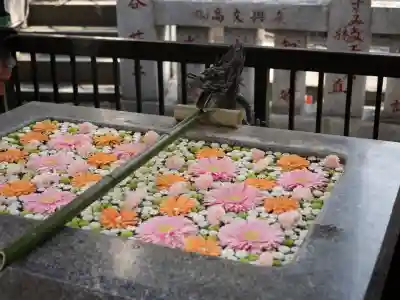 高円寺氷川神社(東京都)