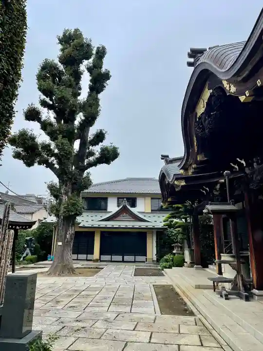 大圓寺(東京都)