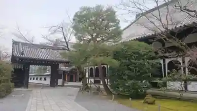 知恩院の山門・神門