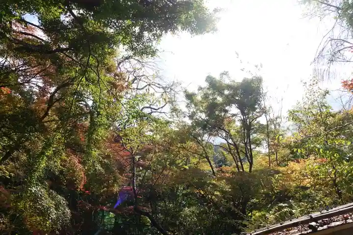 宝泉院のその他建物